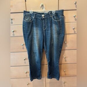 Lane Bryant Dark Blue Boyfriend Jeans Size 14